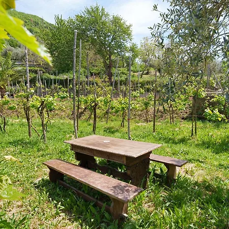 Ara Solis * Arola (Campania)