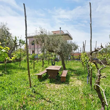 Apartment Ara Solis